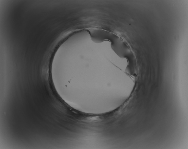 X0000088470054200706191355