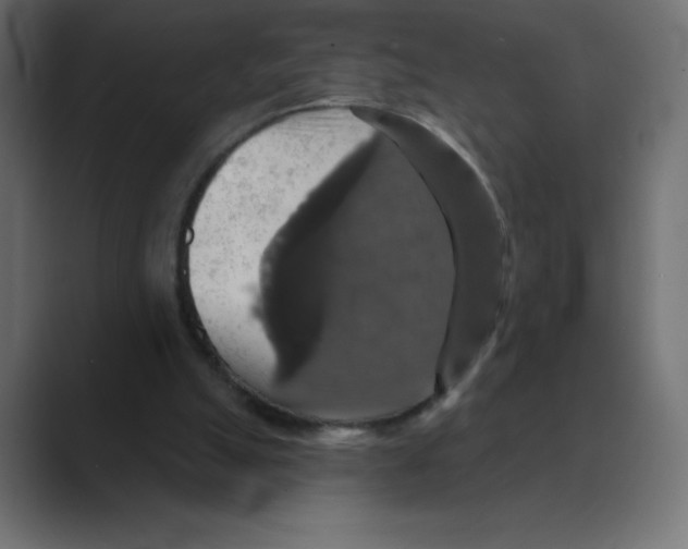 X0000088470055200706191355