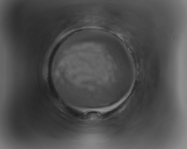 X0000088470056200706191355