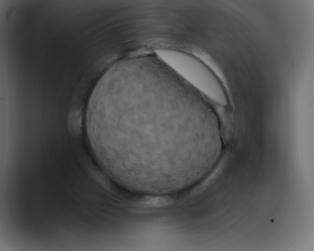 X0000088470057200706191355