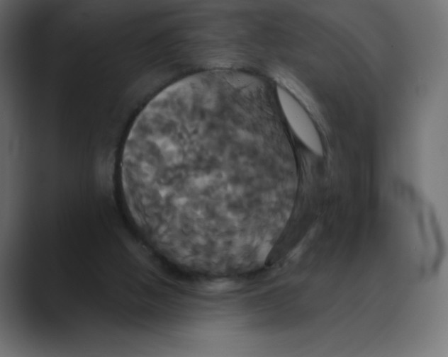 X0000088470058200706191355