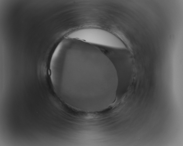 X0000088470060200706191355