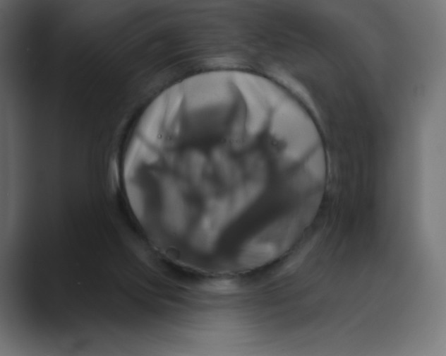 X0000088470061200706191355