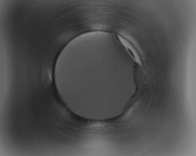 X0000088470062200706191355