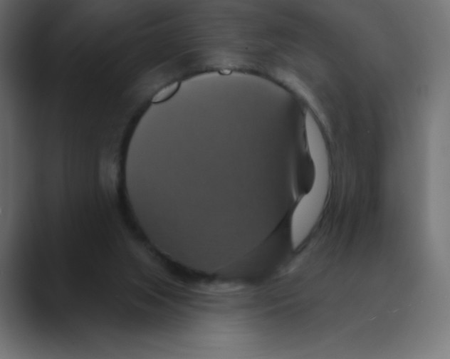 X0000088470063200706191355