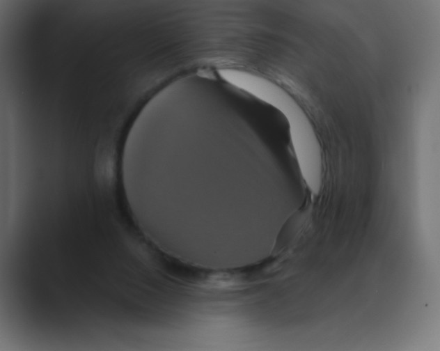 X0000088470064200706191355