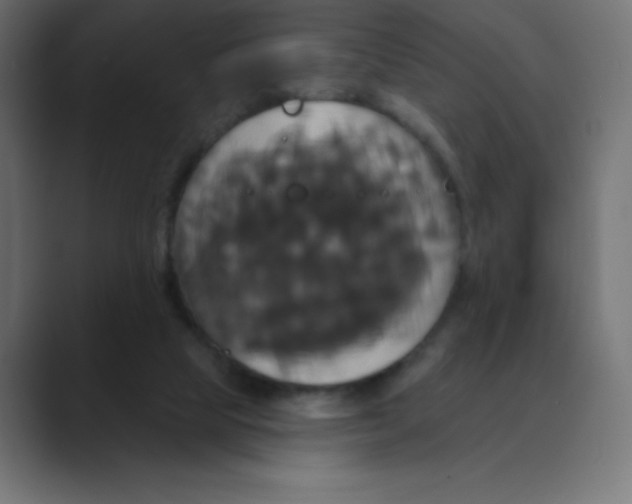 X0000088470065200706191355