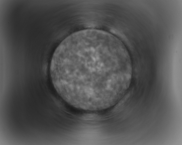 X0000088470066200706191355