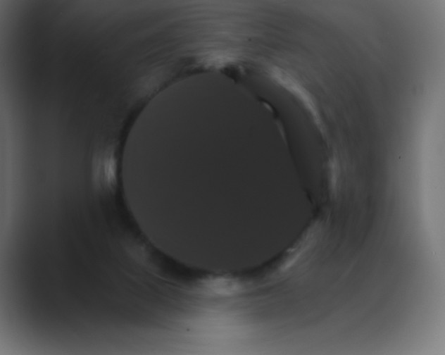 X0000088470067200706191355