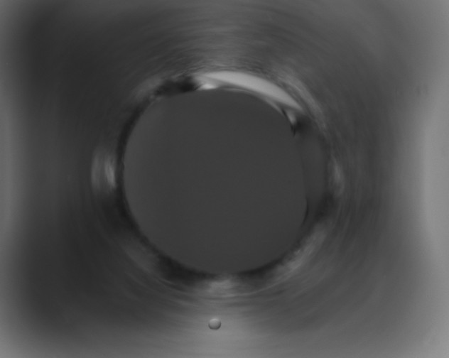 X0000088470068200706191355
