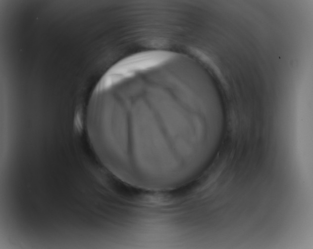 X0000088470069200706191355