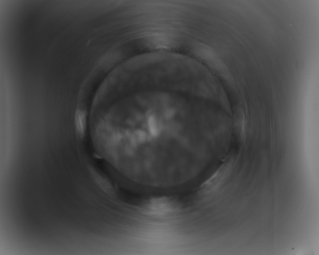 X0000088470070200706191355