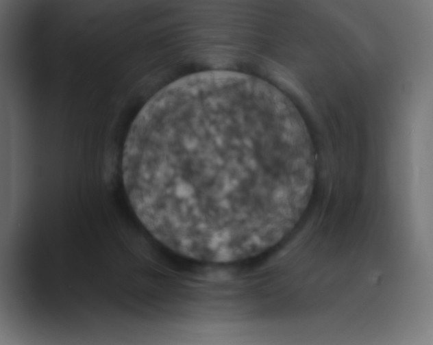 X0000088470073200706191355