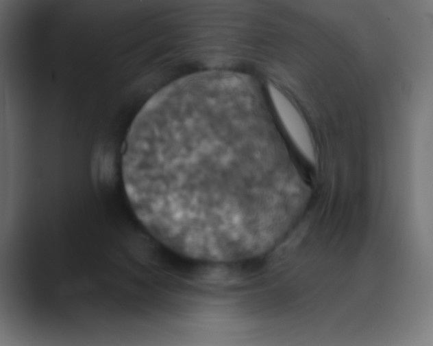 X0000088470074200706191355