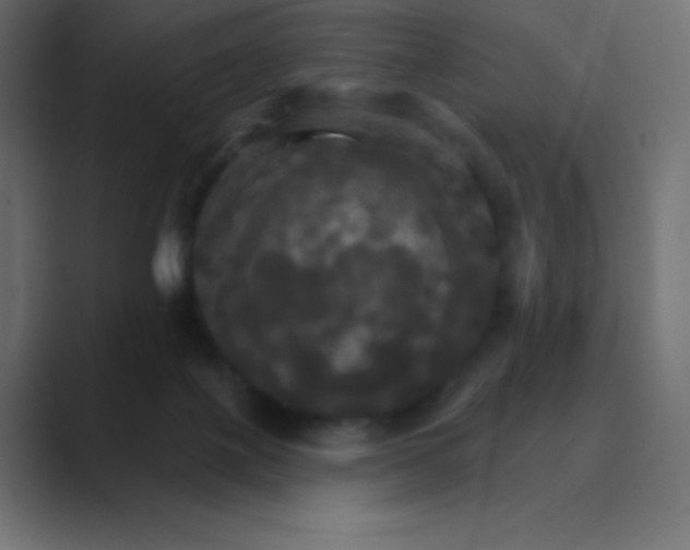 X0000088470075200706191355
