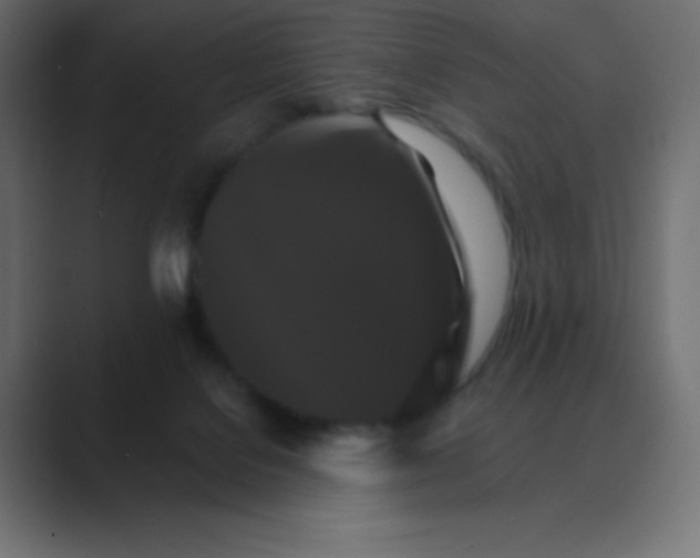 X0000088470076200706191356