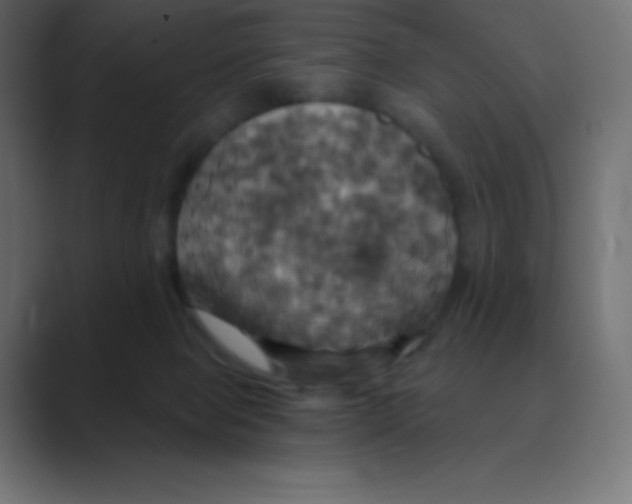 X0000088470077200706191356