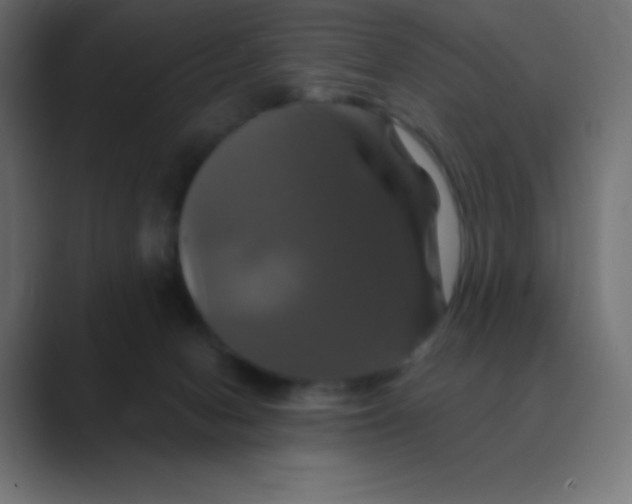 X0000088470078200706191356