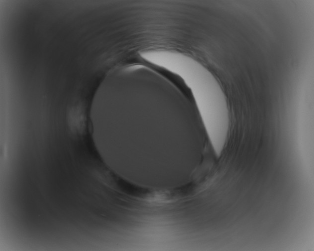 X0000088470080200706191356