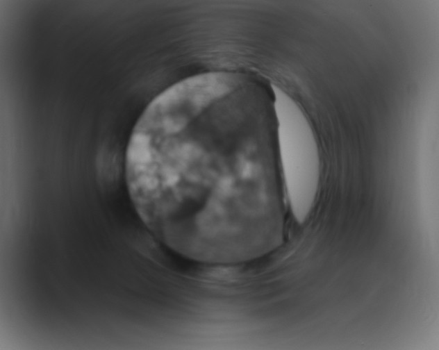 X0000088470081200706191356