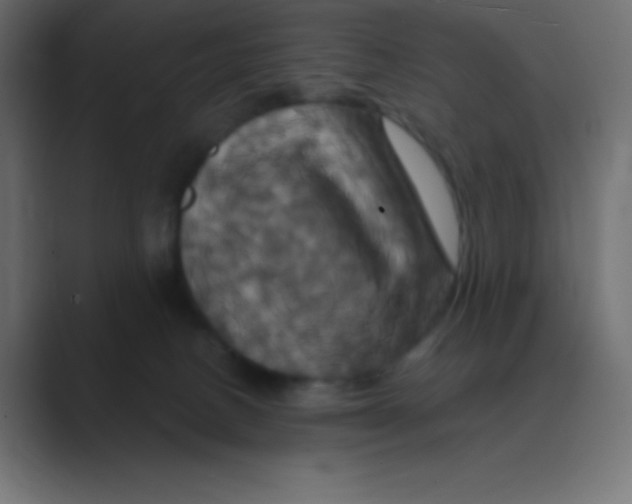 X0000088470082200706191356