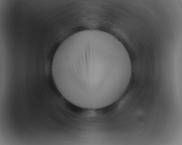 X0000088470083200706191356