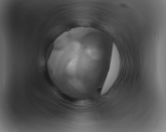 X0000088470084200706191356