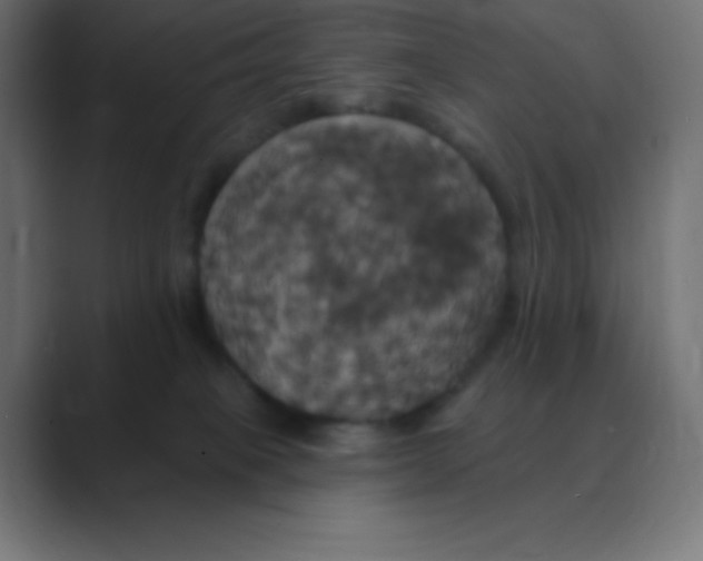 X0000088470085200706191356