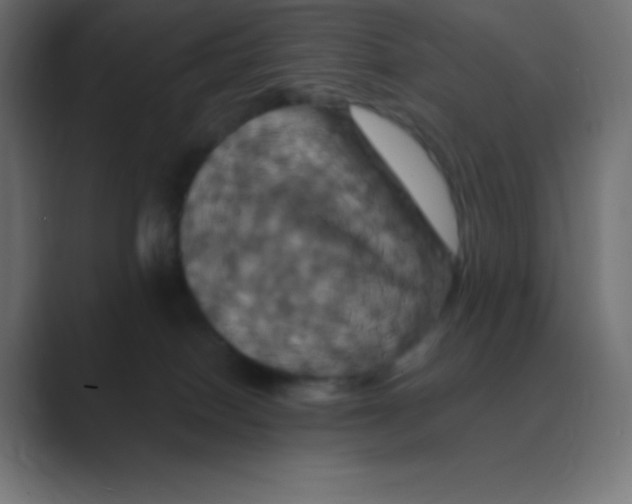 X0000088470086200706191356