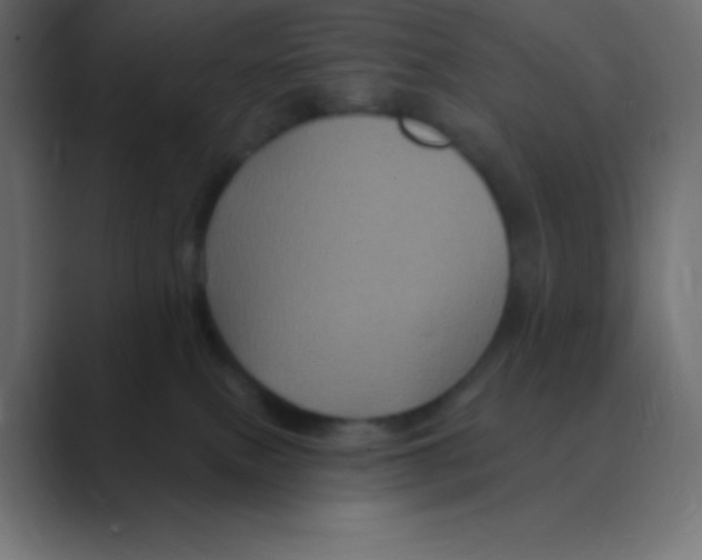 X0000088470087200706191356