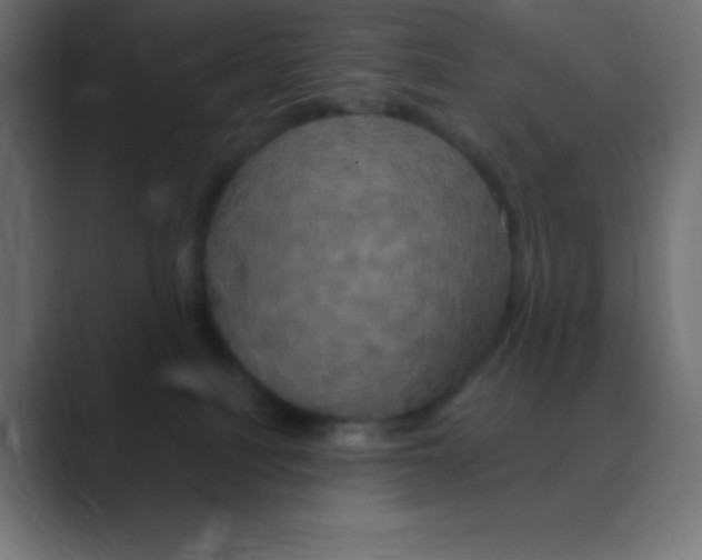 X0000088470088200706191356