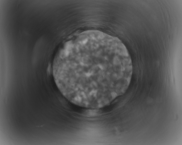 X0000088470089200706191356