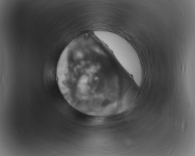 X0000088470090200706191356