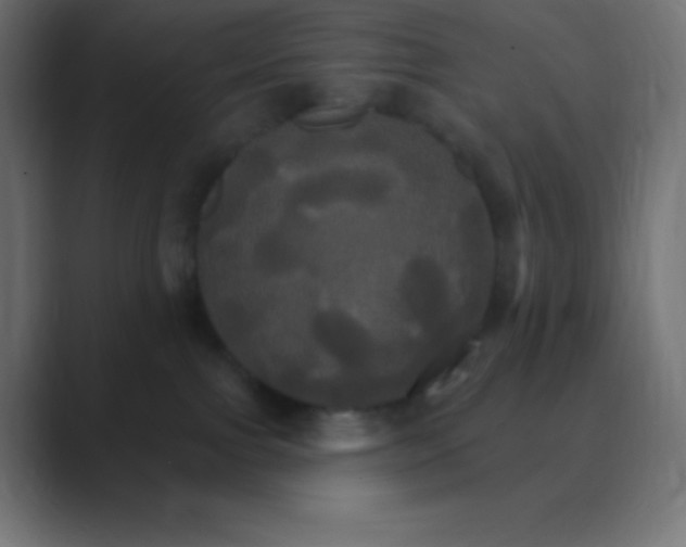 X0000088470091200706191356