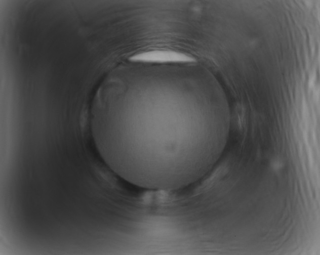 X0000088470092200706191356