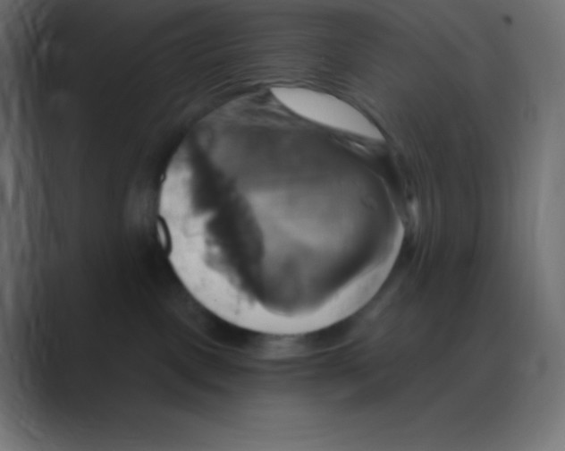 X0000088470093200706191356