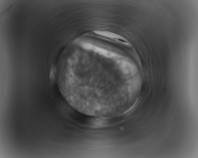 X0000088470094200706191356