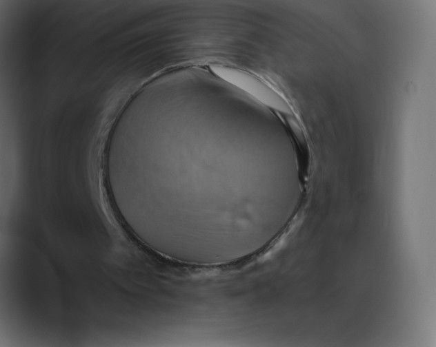 X0000088470097200706191355