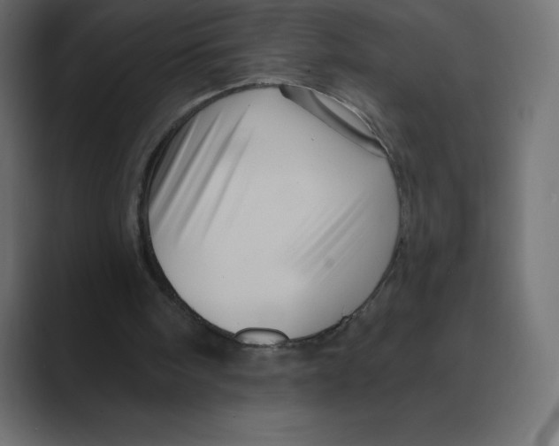 X0000088470098200706191355