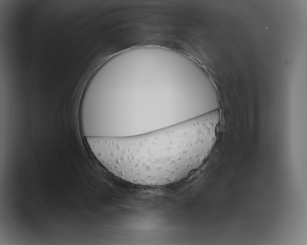 X0000088470099200706191355