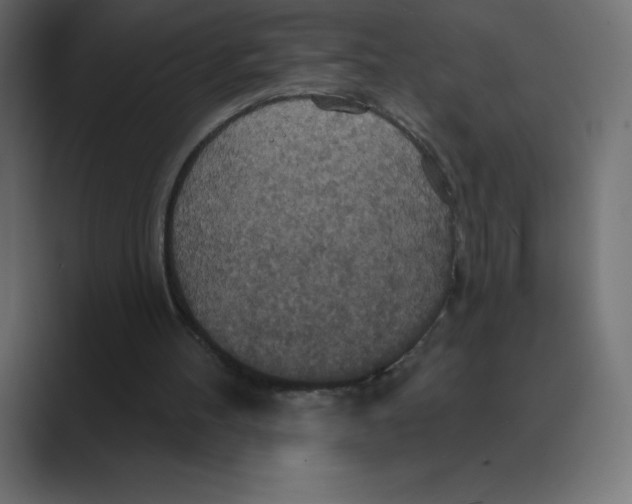 X0000088470100200706191355