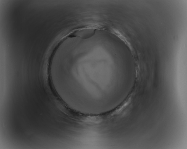 X0000088470101200706191355