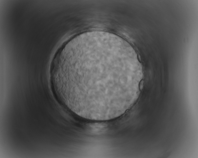 X0000088470102200706191355