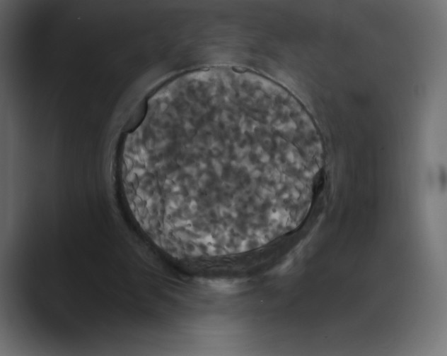 X0000088470103200706191355