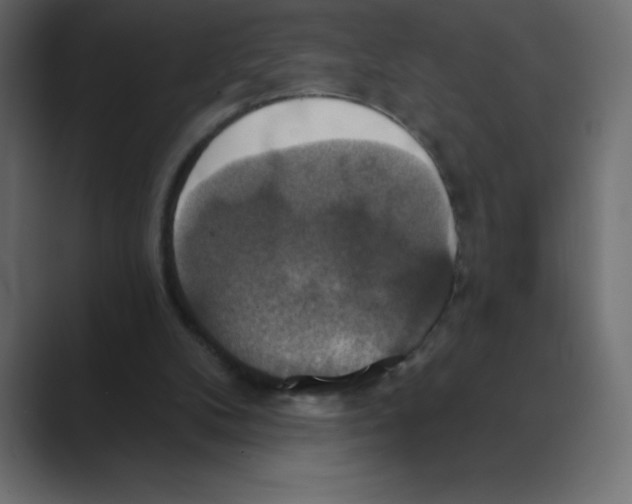 X0000088470104200706191355