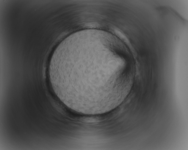 X0000088470106200706191355