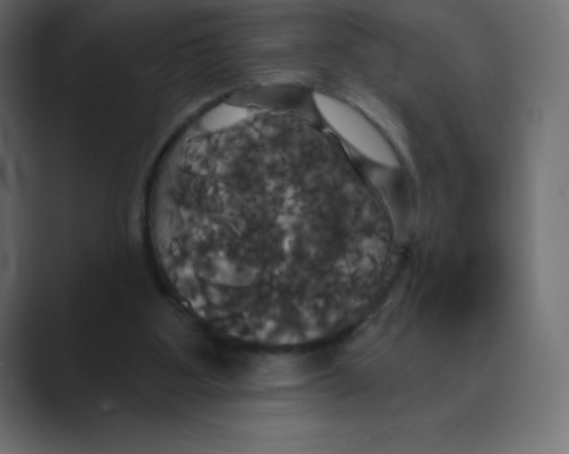 X0000088470107200706191355