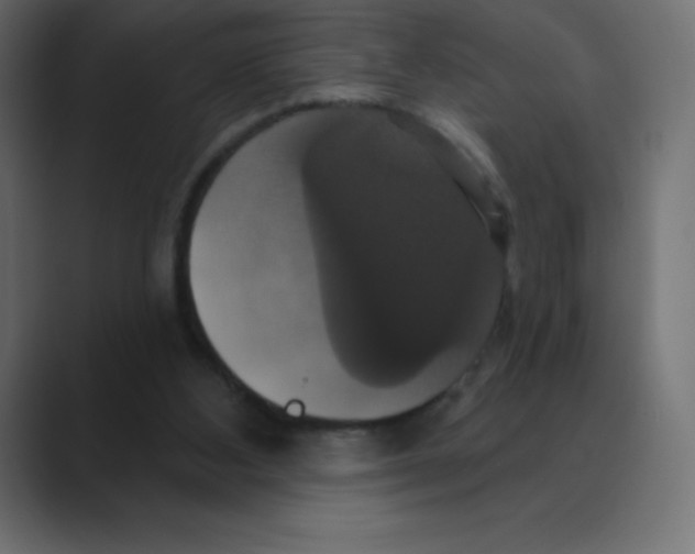 X0000088470108200706191355