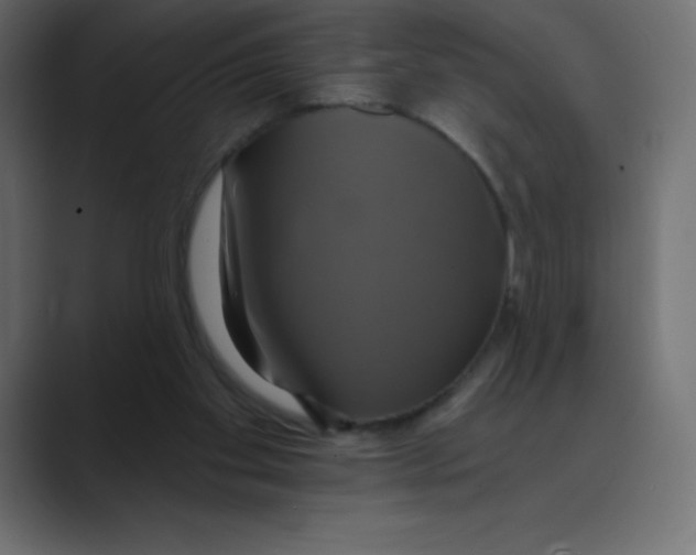 X0000088470109200706191355