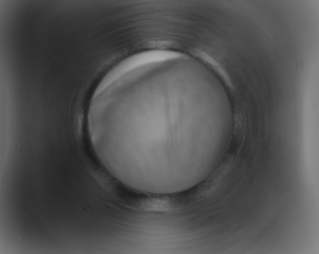 X0000088470110200706191355